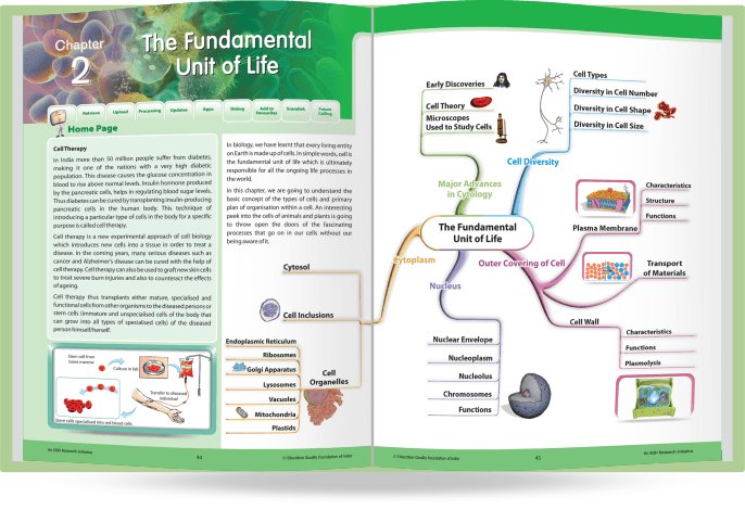 Mind Mapping Approach